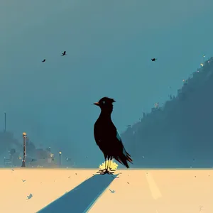 Black Grouse soaring across vibrant sky - Wildlife Shot
