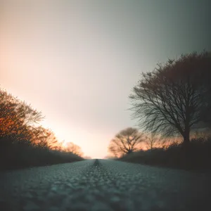 Golden Sunset Over Rural Landscape