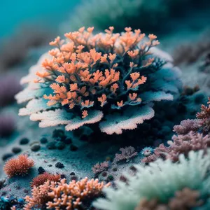 Colorful Coral Reef Underwater: Exotic Marine Life