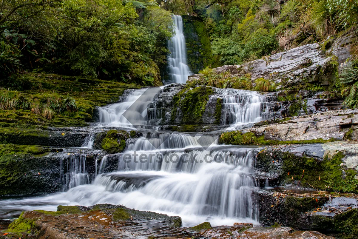 Picture of Tranquil waterfall in scenic forest landscape