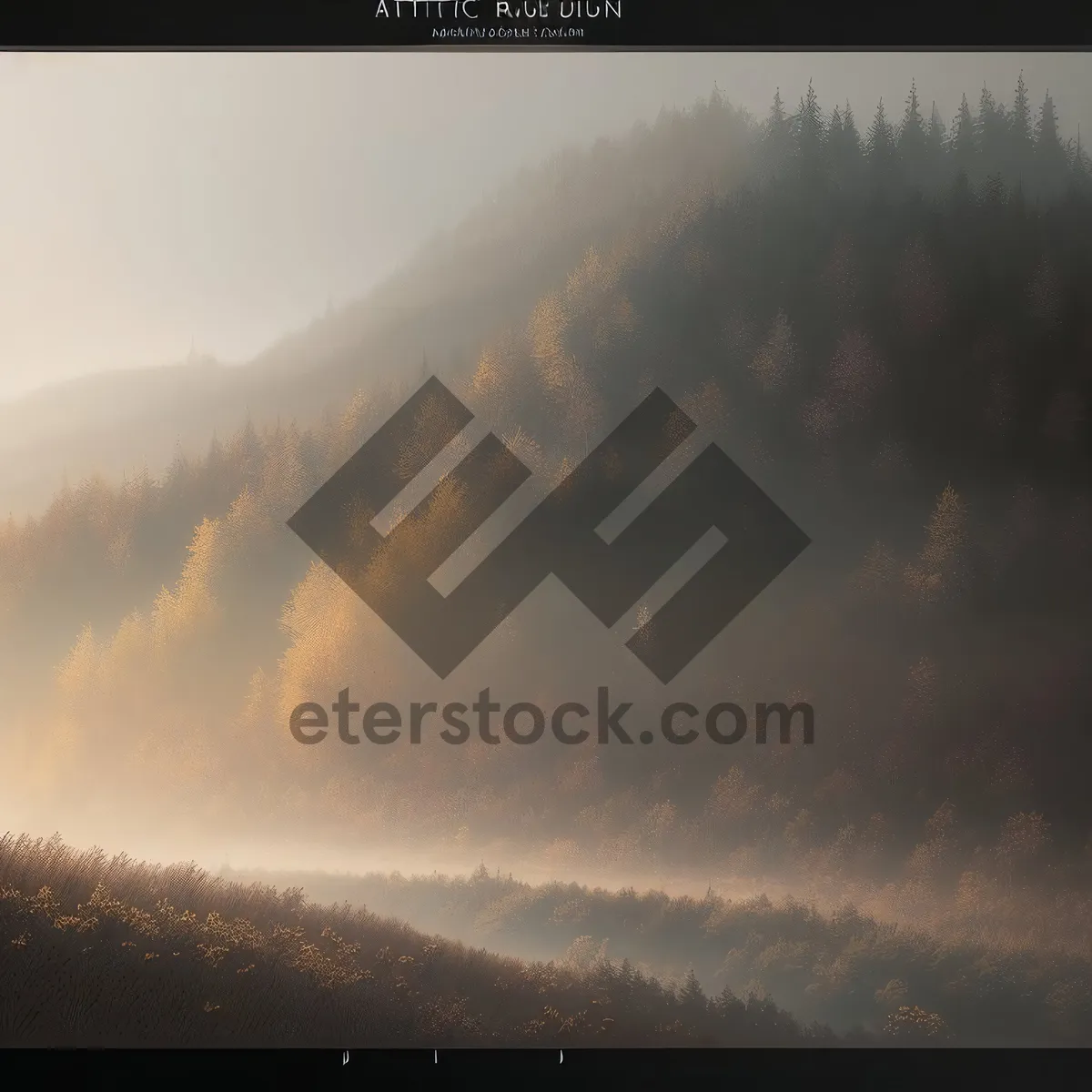 Picture of Dynamic Sunset over Serene Forest Canopy"
(Note: This is an example of a short name for an image based on the provided tags)
