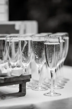 Champagne toast at romantic wedding celebration