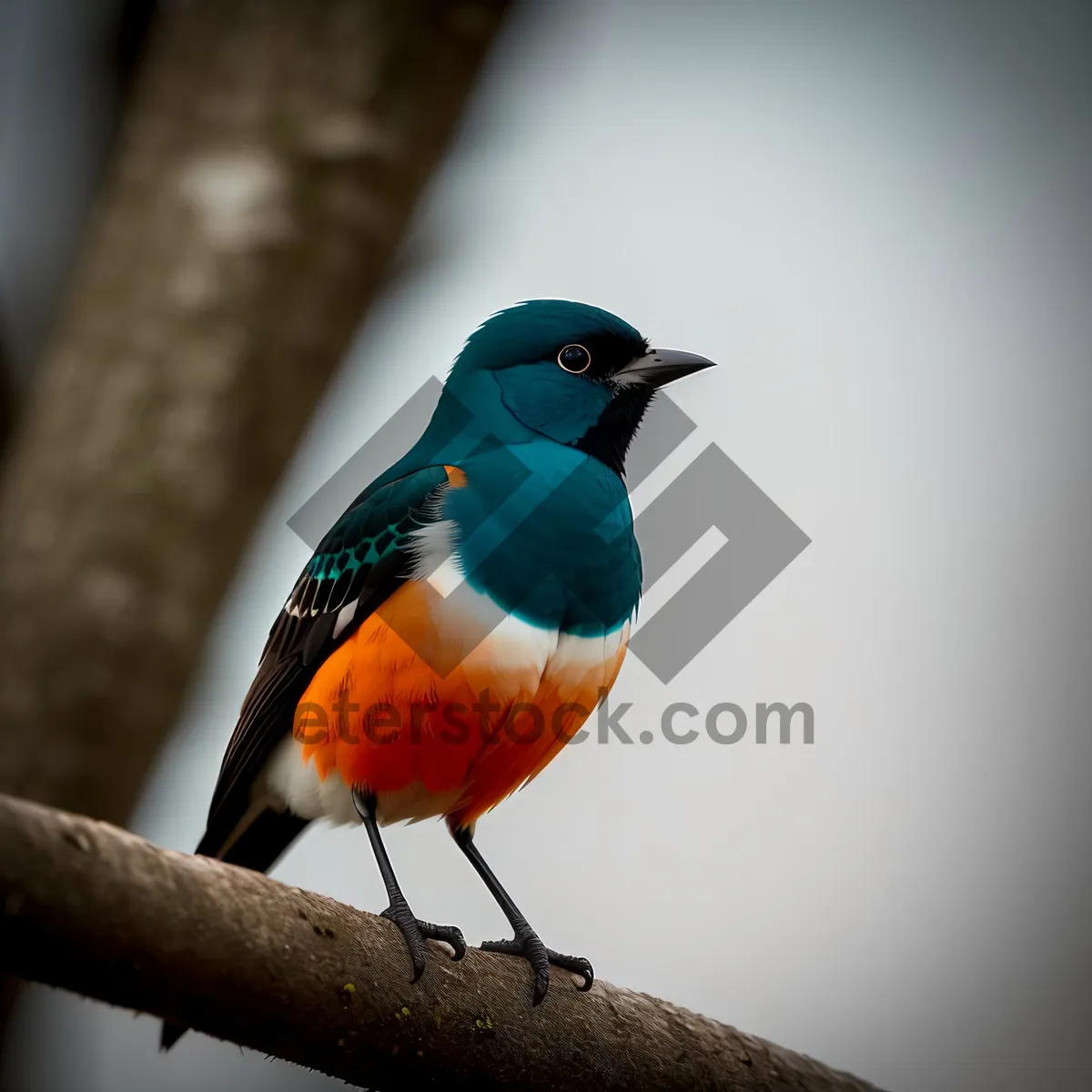 Picture of Exotic Parrot Perched on Tropical Branch with Yellow Feathers