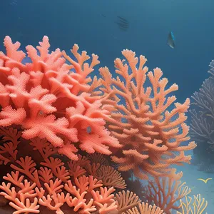 Bright and Colorful Underwater Coral Reef Life