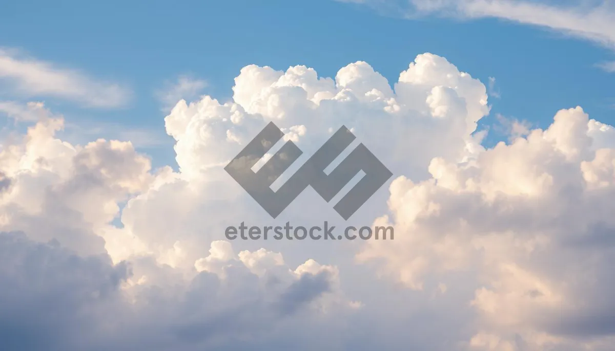 Picture of Sun Lit Clear Sky Over Summer Landscape