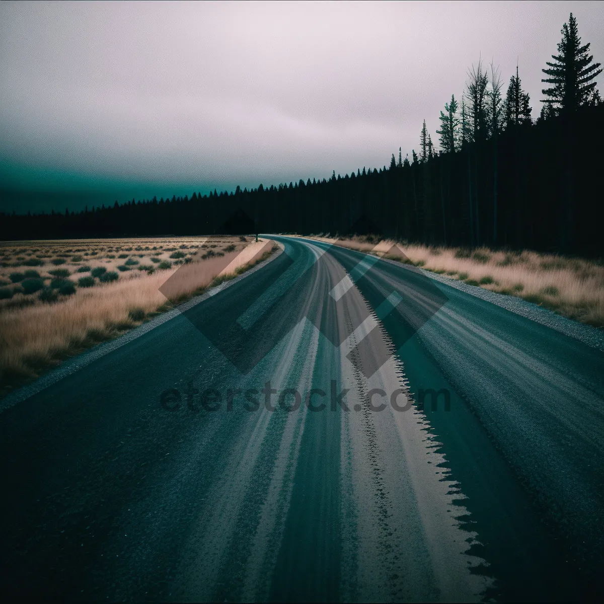 Picture of Speeding Through the Night on Rural Freeway