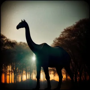 Serenity at Sunset: Giraffe and Crane in the Wild