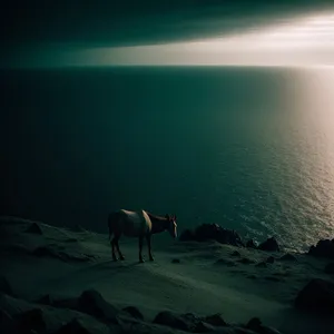 Wild Horses Grazing on Rural Ranch