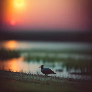 Vibrant Hummingbird Soaring through Majestic Sunset Sky