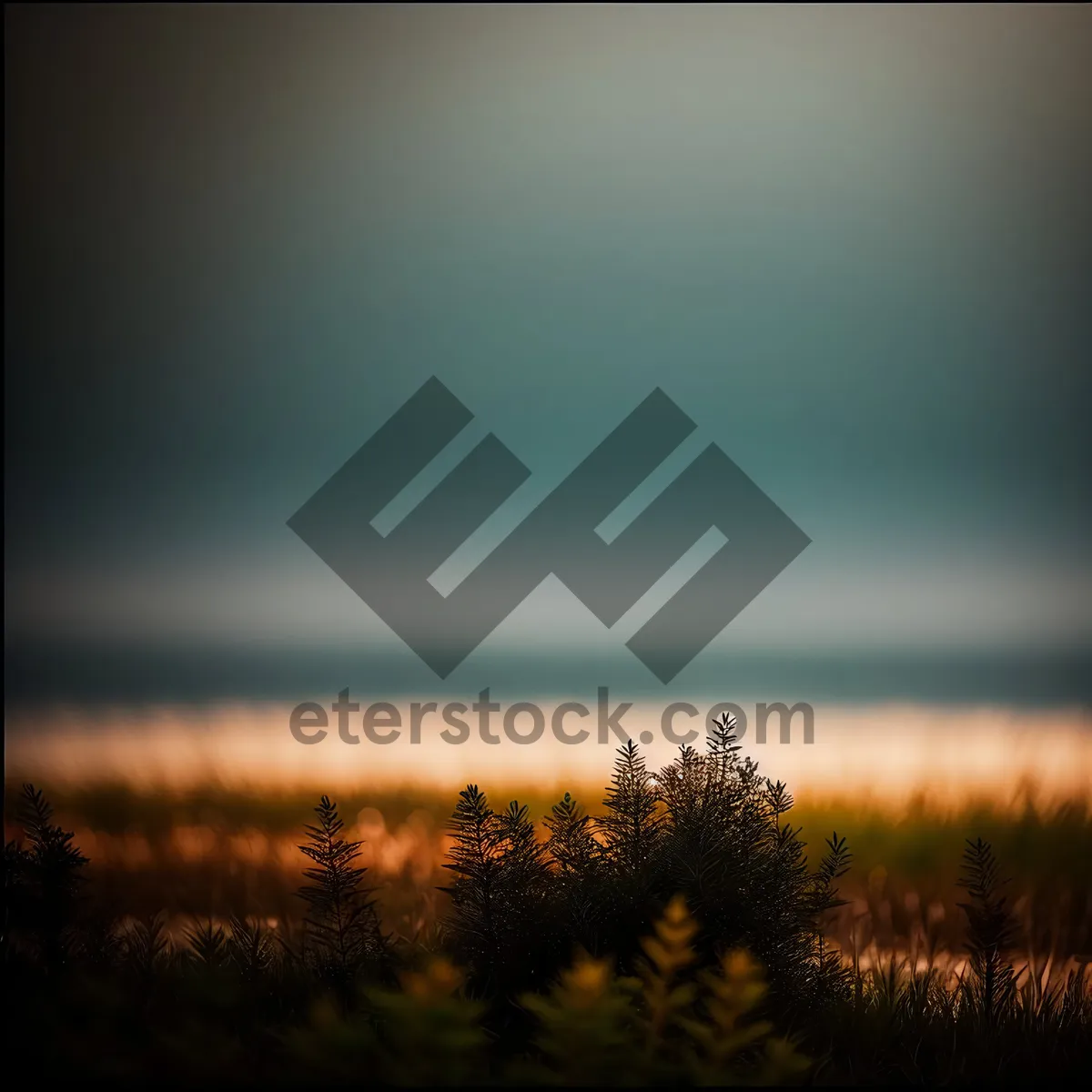Picture of Golden Sunset Over Rural Meadow with Clouds