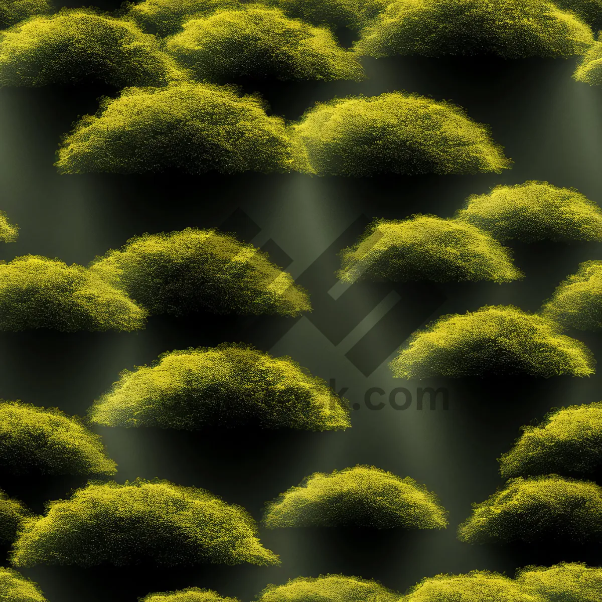 Picture of Yarrow Flower - Close-up Garden Flora