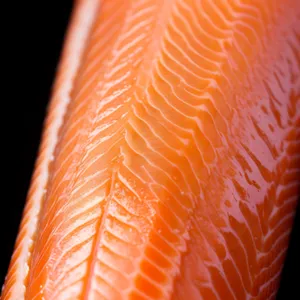 Citrus Salmon - Fresh and Gourmet Fish Delight