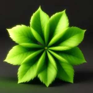 Bright Lotus Leaf Design with Textured Patterns