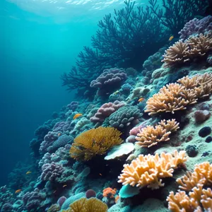 Colorful Coral Reef Teeming with Marine Life