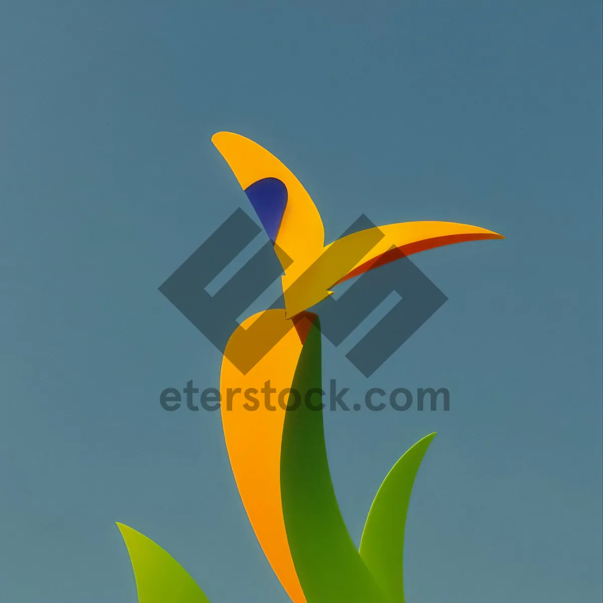 Picture of Vibrant Day Lily Seedling in Design