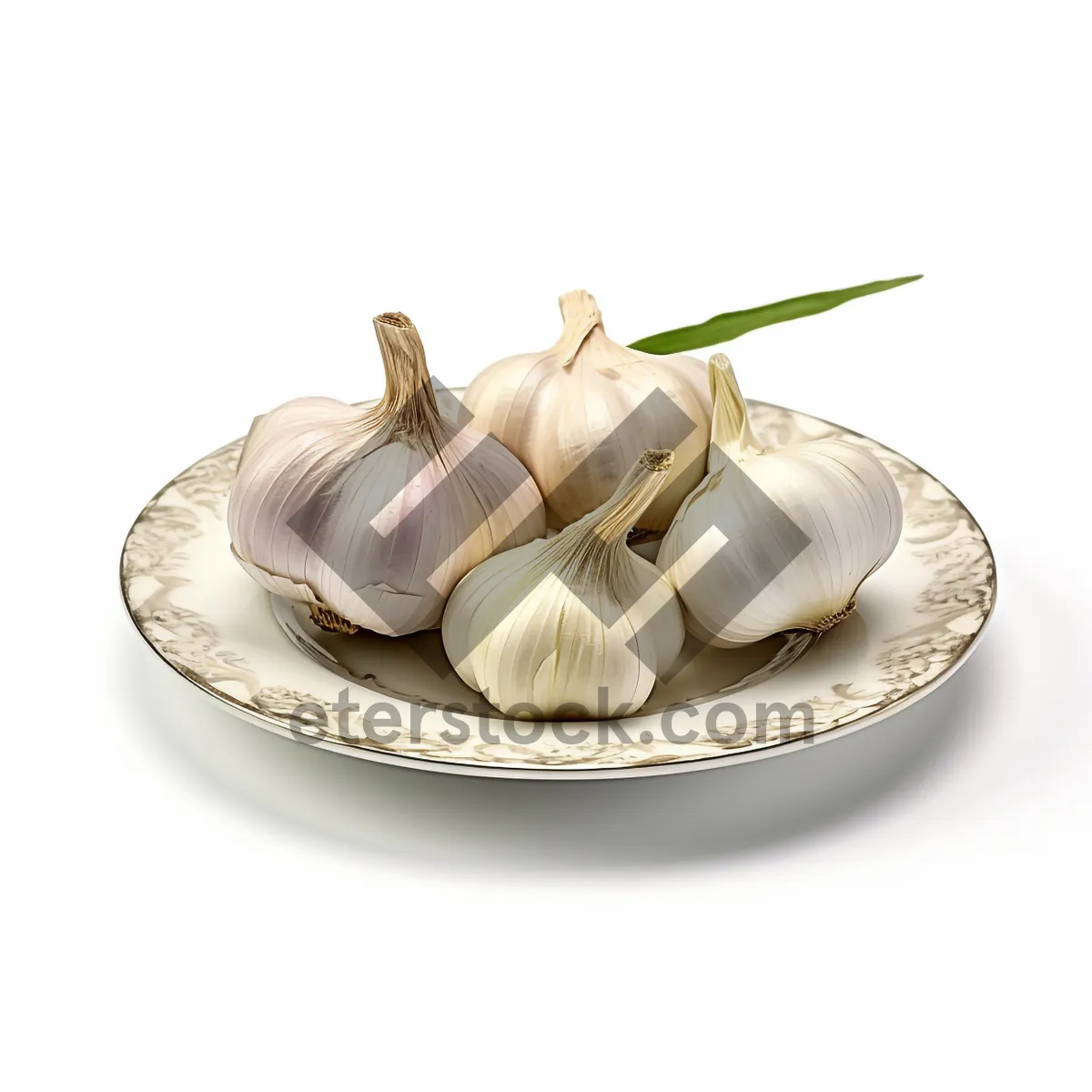 Picture of Fresh Organic Garlic Bulb Closeup for Gourmet Cooking