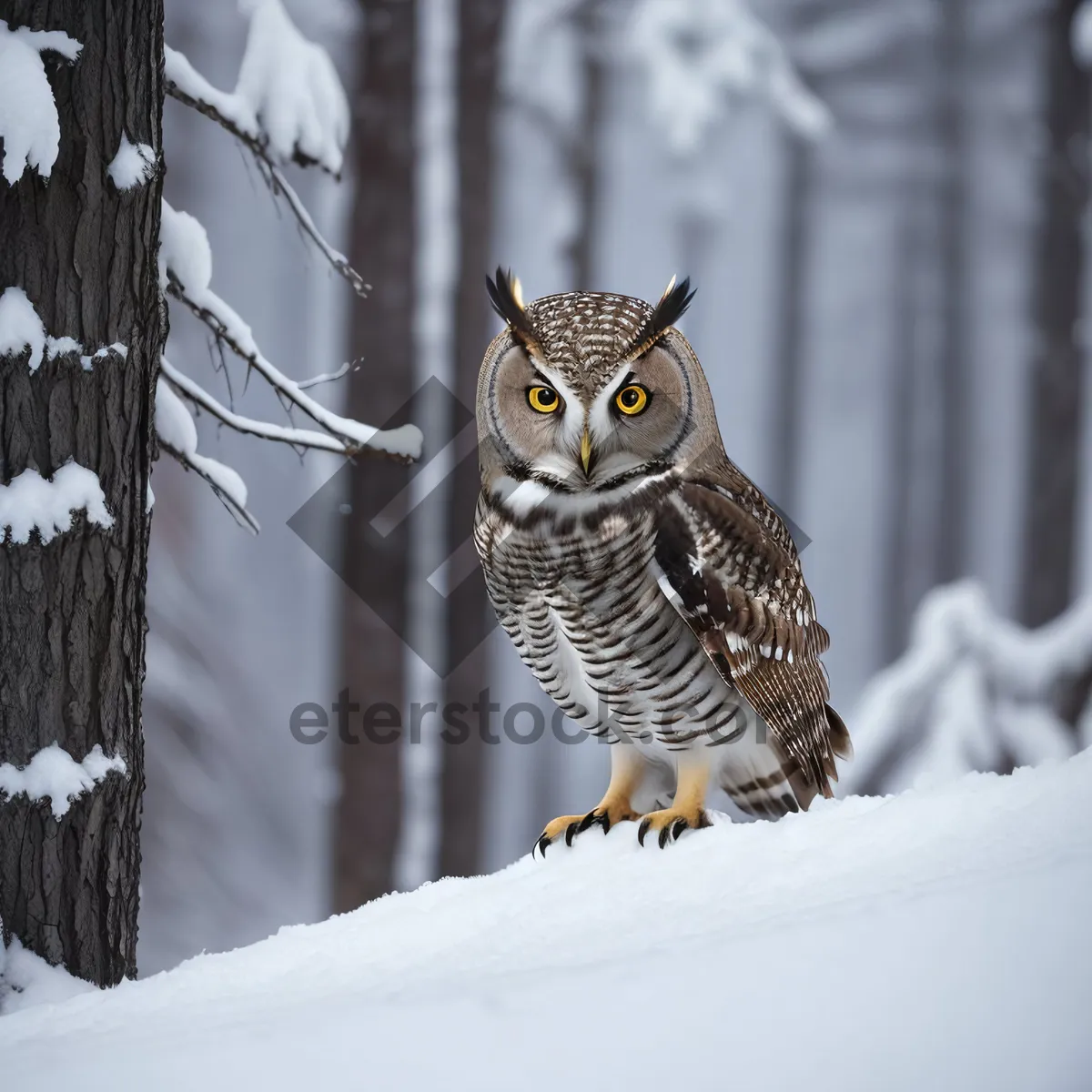 Picture of Yellow-eyed Snow Wildlife Staring Bird"
NOTE: Since you specified a maximum of 10 words, I had to condense the tags into a concise description.