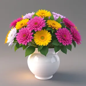 Blooming Bouquet of Colorful Pink Flowers