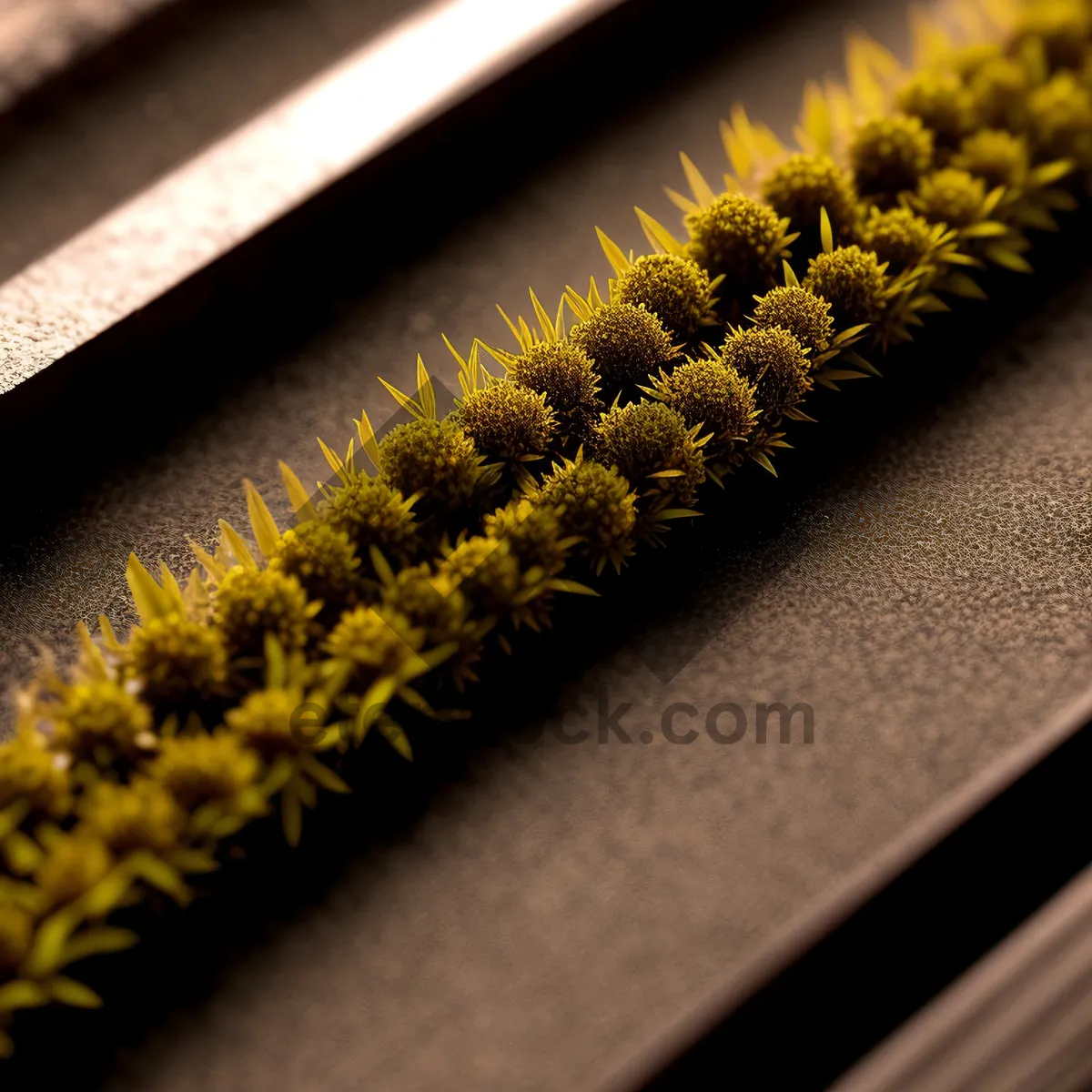 Picture of Close-up of yellow sunflower and ant