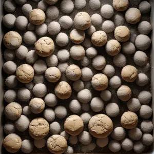 Organic Walnut Seed for Baseball Game Equipment Texture