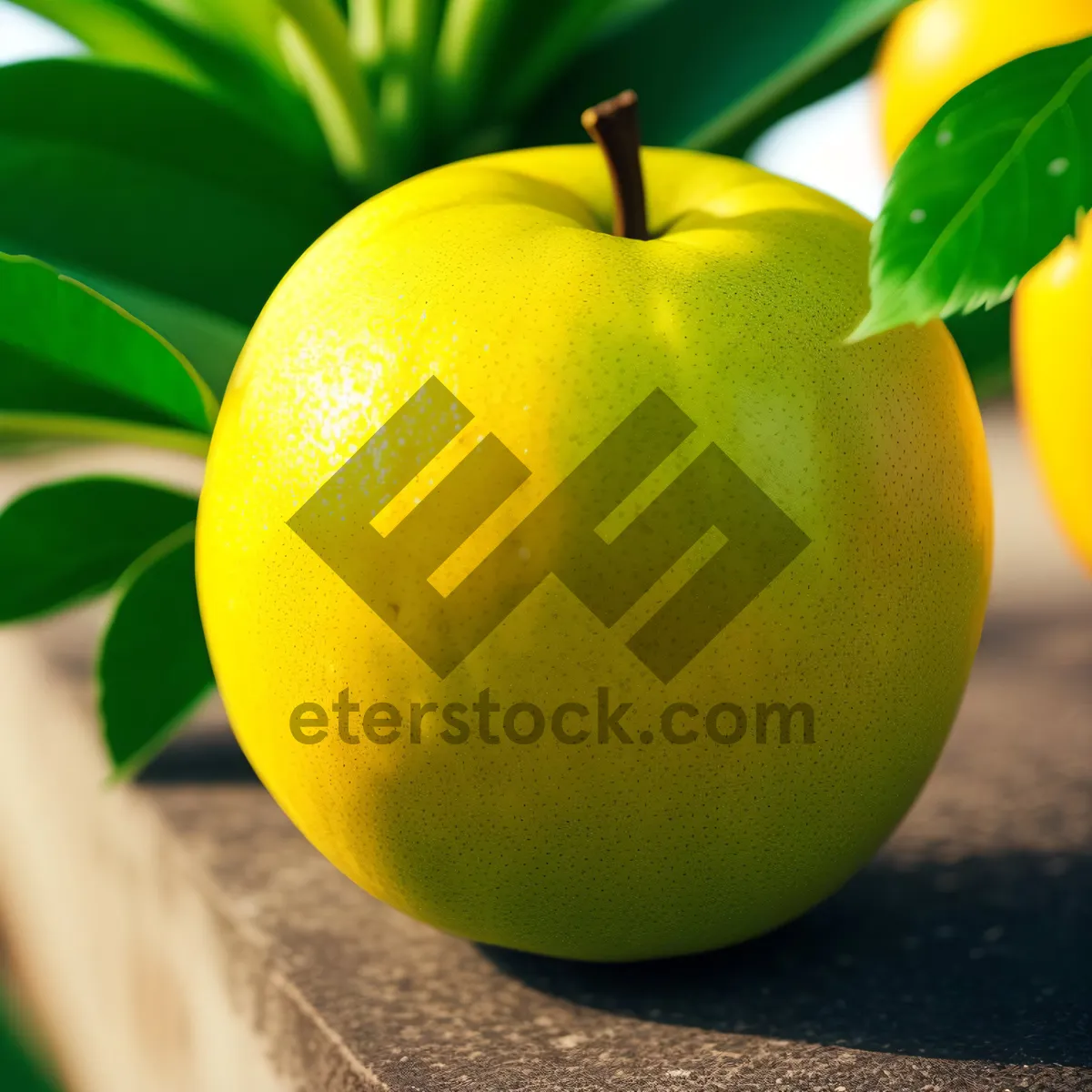 Picture of Delicious Granny Smith Apple: Juicy and Nutritious Snack