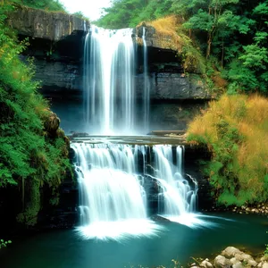 Serene Cascading Waters at Forest Park