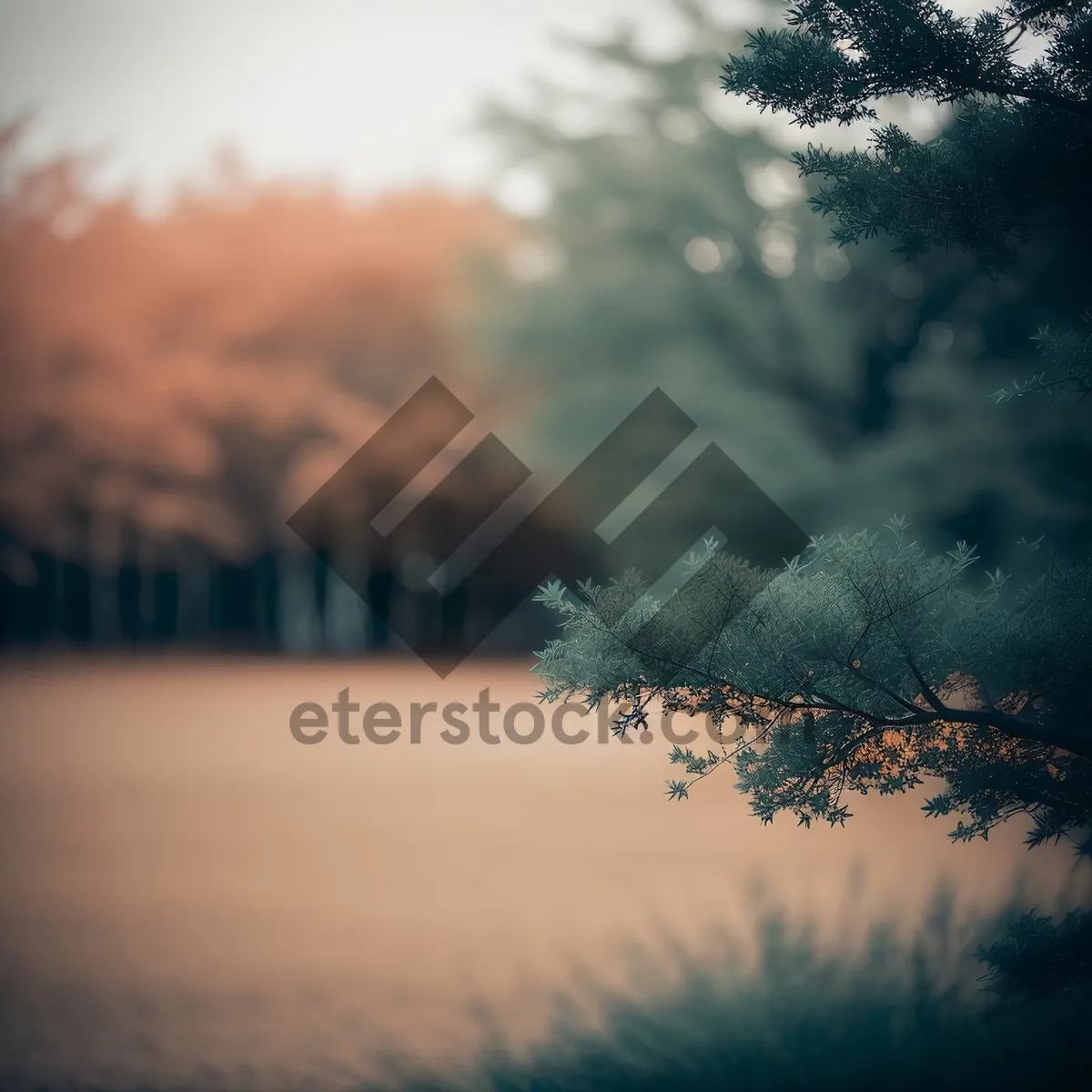 Picture of Golden Horizon: A Breathtaking Summer Sunset Over the Tree-Filled Landscape