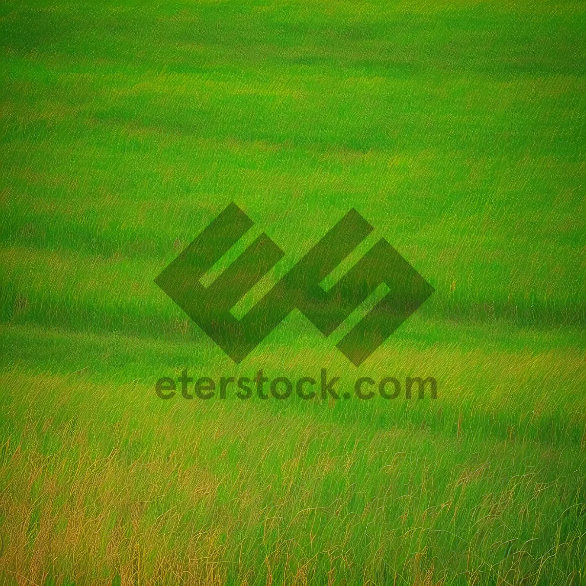 Picture of Vibrant Summer Greenery: Lush Meadow Texture