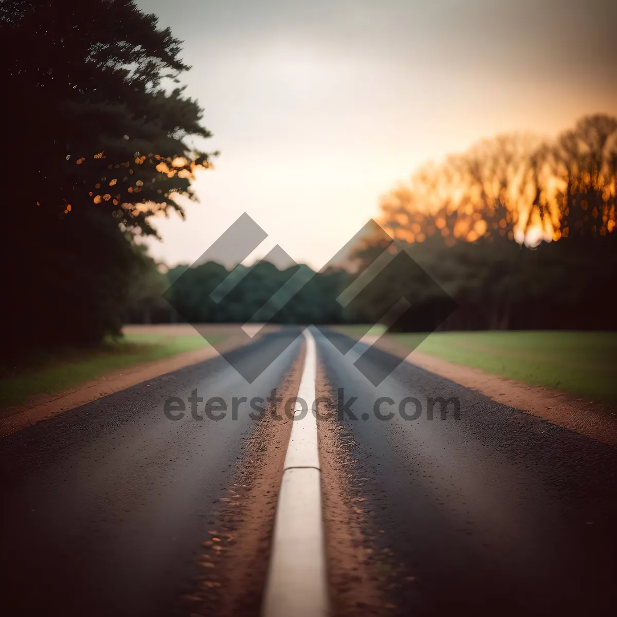 Picture of Serene Countryside Road Surrounded by Vast Sky and Lush Greenery