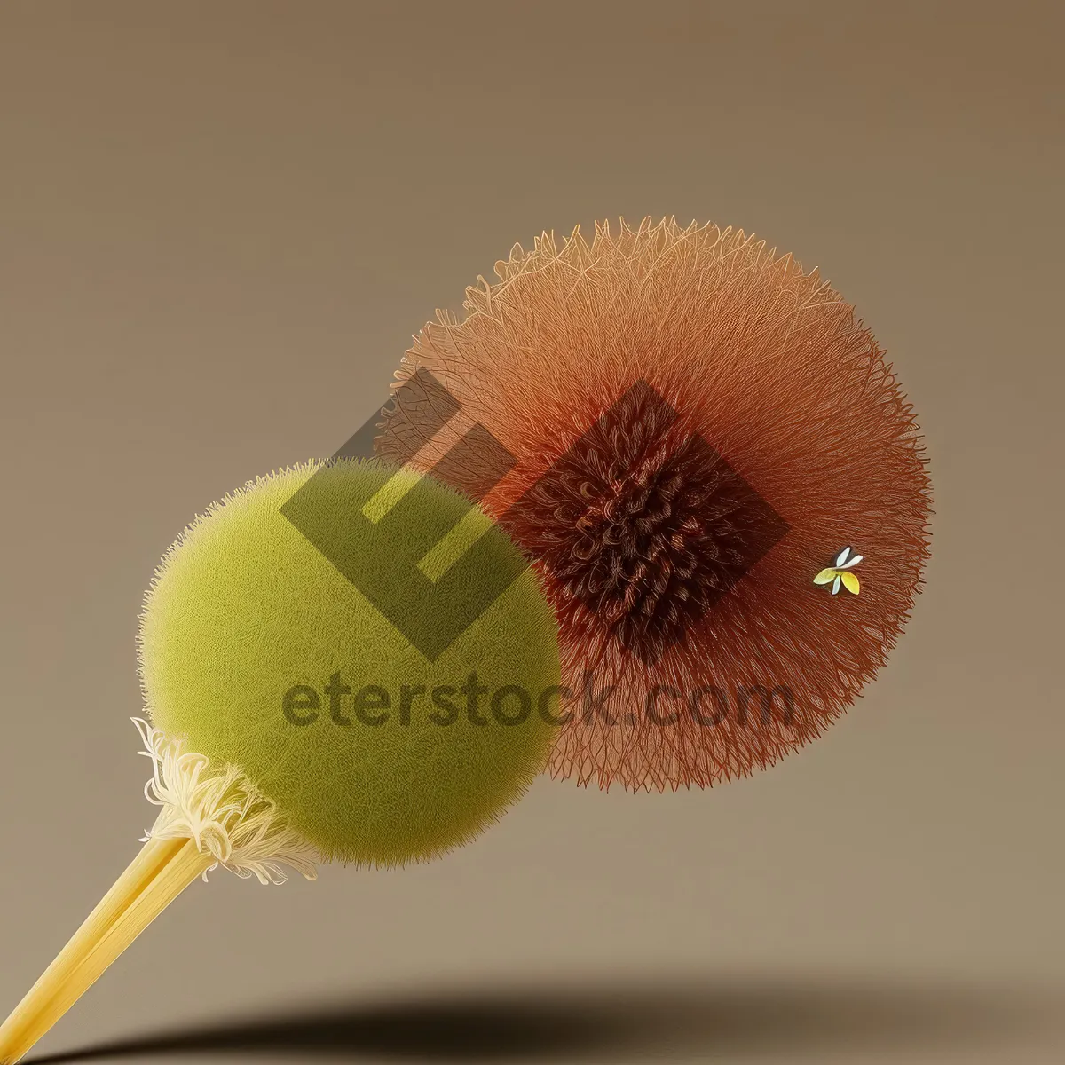 Picture of Flowering Kiwi Herb - Close-up Common Teasel allows Tagging