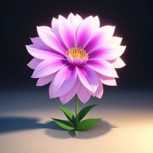 Blooming Lotus: Vibrant Pink Floral Blossom