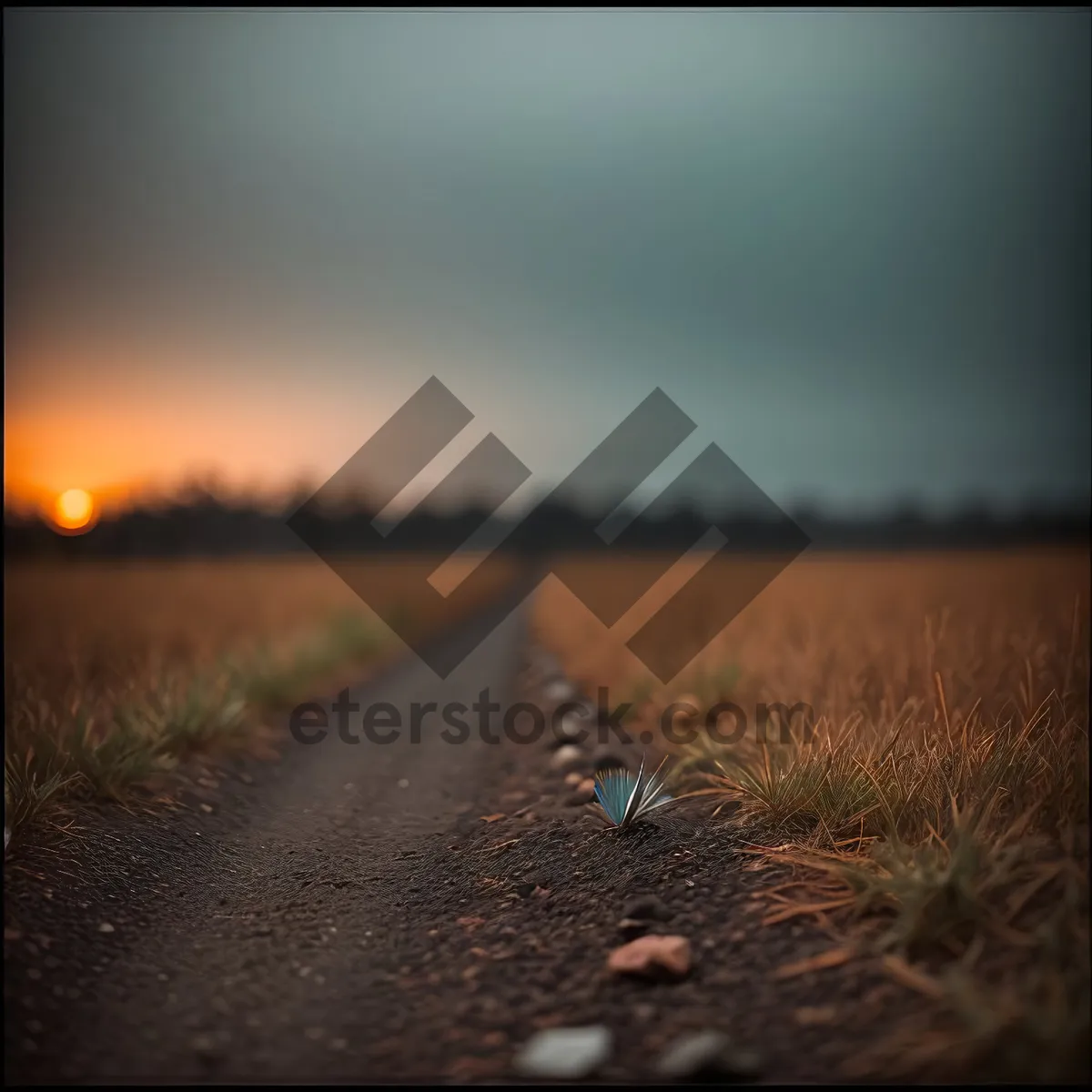 Picture of Golden Horizon: Sunlit Sky Amidst Rural Landscape