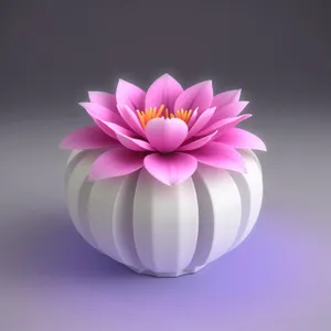 Vibrant Pink Lotus Blossom in Full Bloom