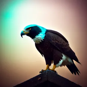 Majestic Falcon Soaring with Piercing Yellow Eyes