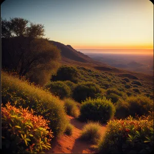 Golden Horizon: Sunset Over Rural Mountain Landscape