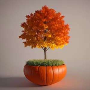 Autumn Maple Leaf Amidst Colorful Foliage