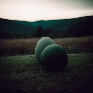 Golden summer harvest: Tennis ball on hay field