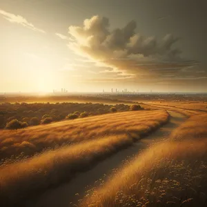 Golden Horizon: Sunset over Dunes and Sea
