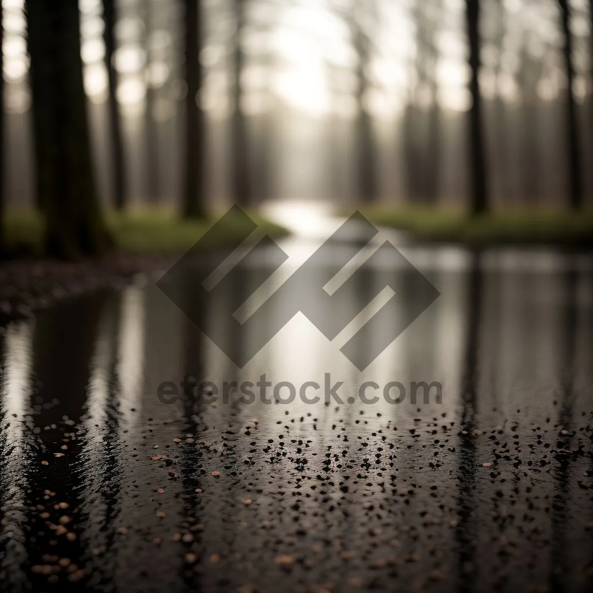 Picture of Serene Reflections in Woodland Wetland