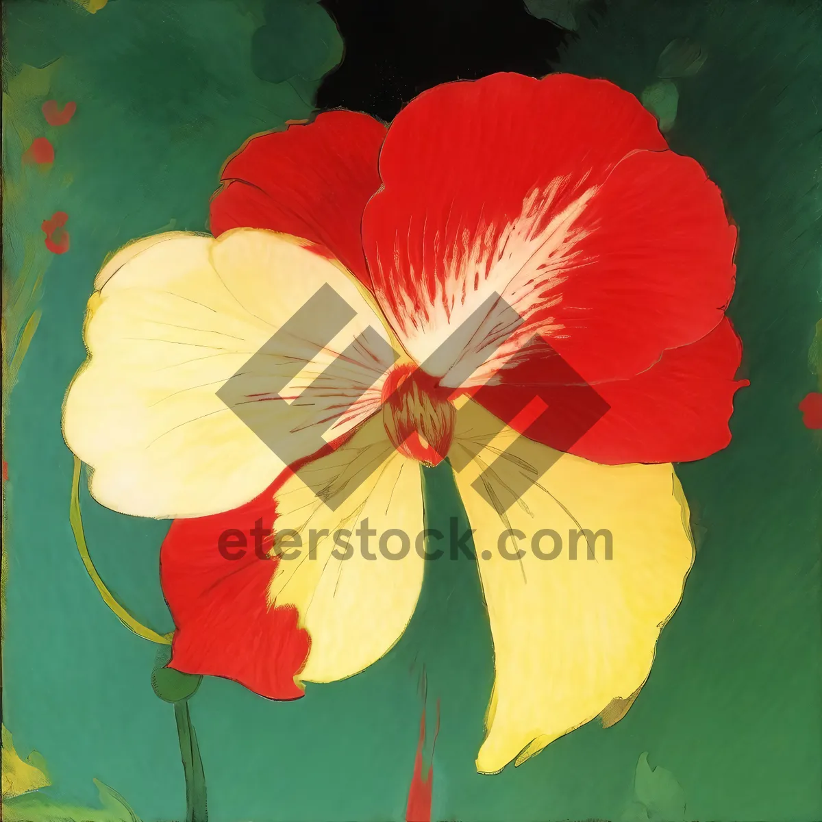 Picture of Vibrant Garden Nasturtium Blossom in Full Bloom