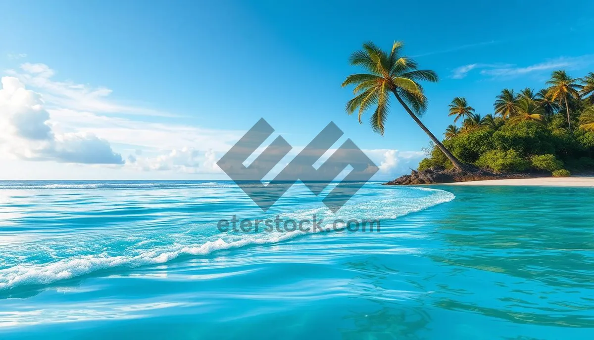 Picture of Tropical sunset beach relaxation with surfer