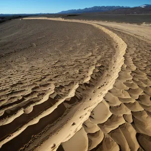 Scenic Desert Dune Landscape Under Sunny Sky