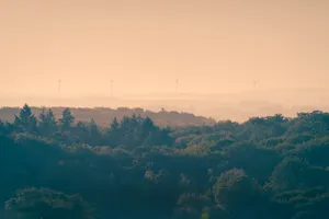 Scenic Park Landscape with Mountains and forrest