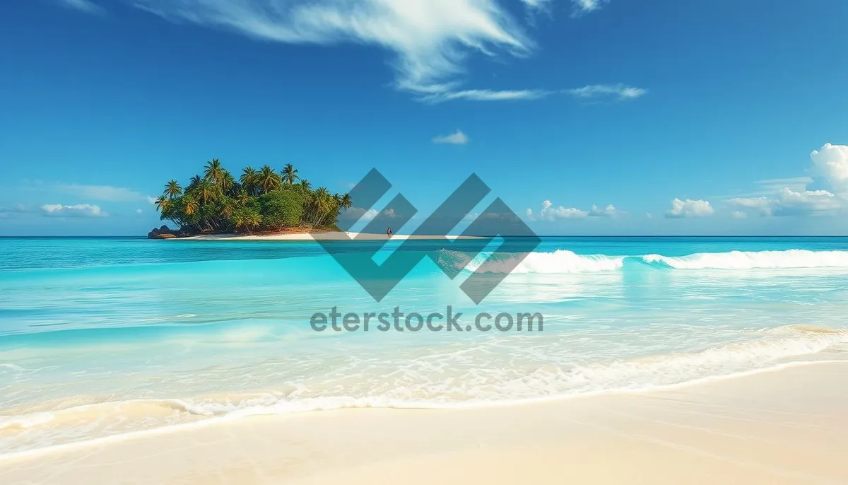 Picture of Tropical island beach paradise with crystal clear water