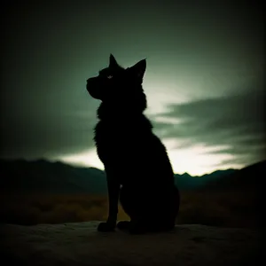 Coastal Serenity: Sunset Silhouette of Shepherd Dog on Leash