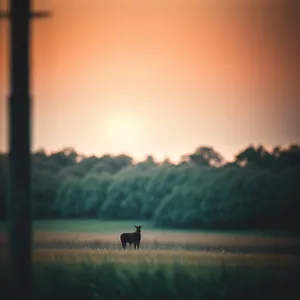 Serene Sunrise over Vast Rural Landscape