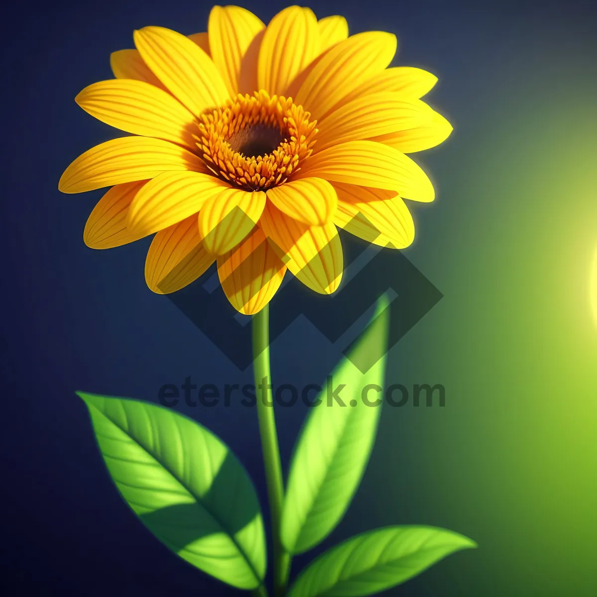 Picture of Vibrant Sunflower Blossom in Full Bloom