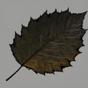 Autumnal Wicker Parasol at Work