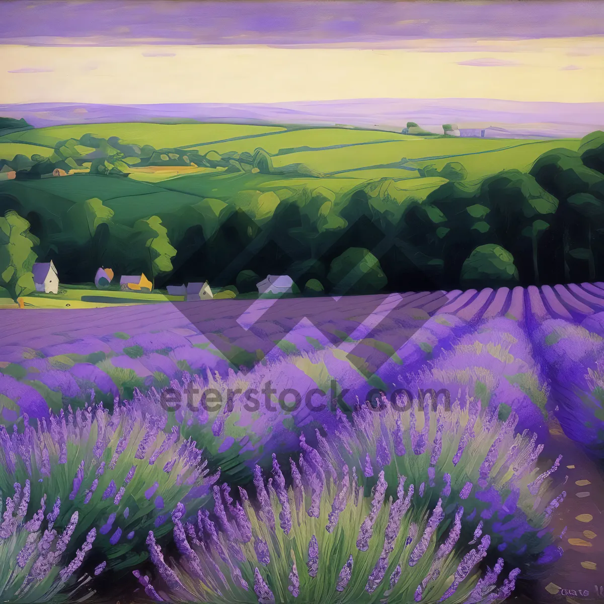 Picture of Vibrant Aquatic Lavender Field Under Sunny Sky