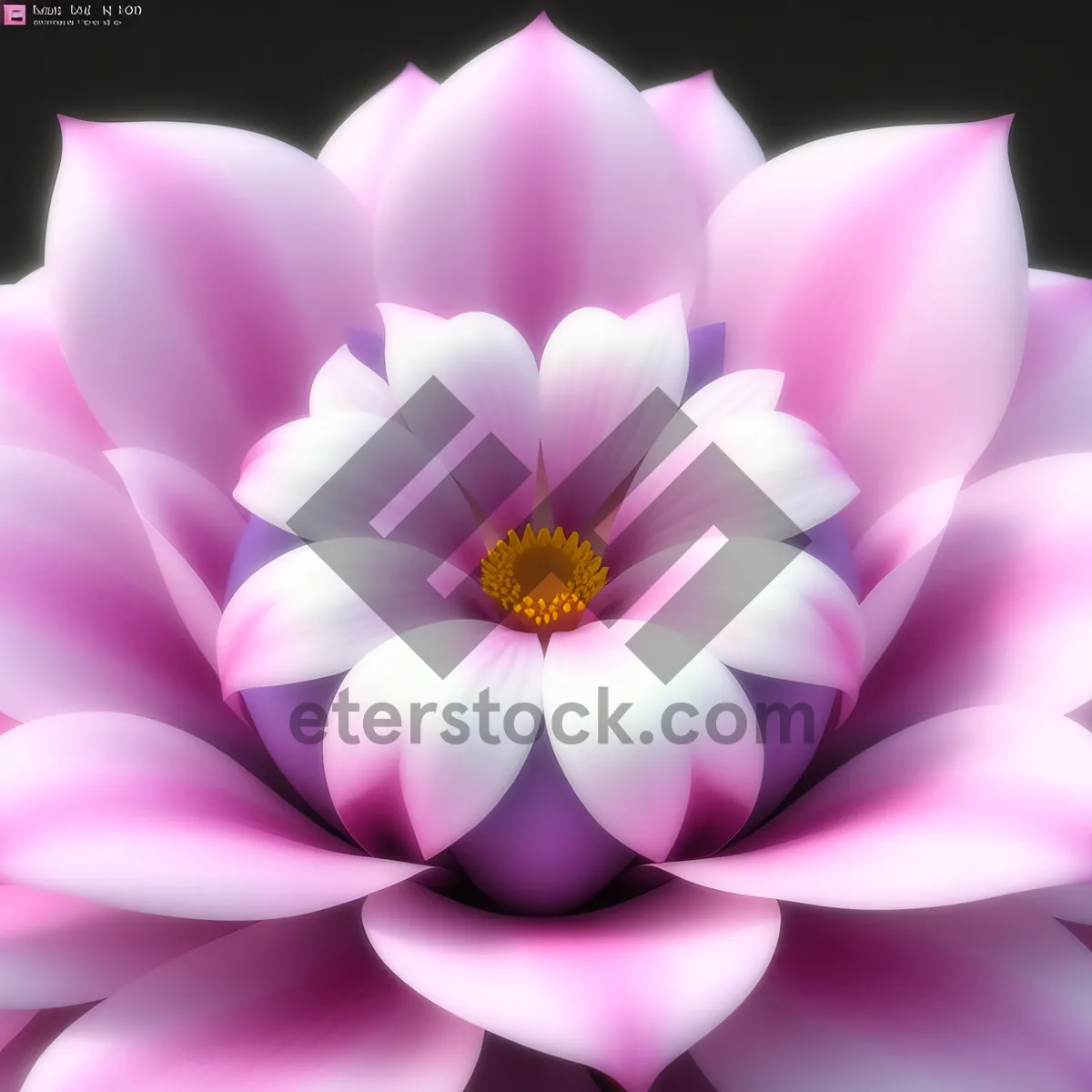 Picture of Colorful Blooming Lotus Flower In Island Garden
